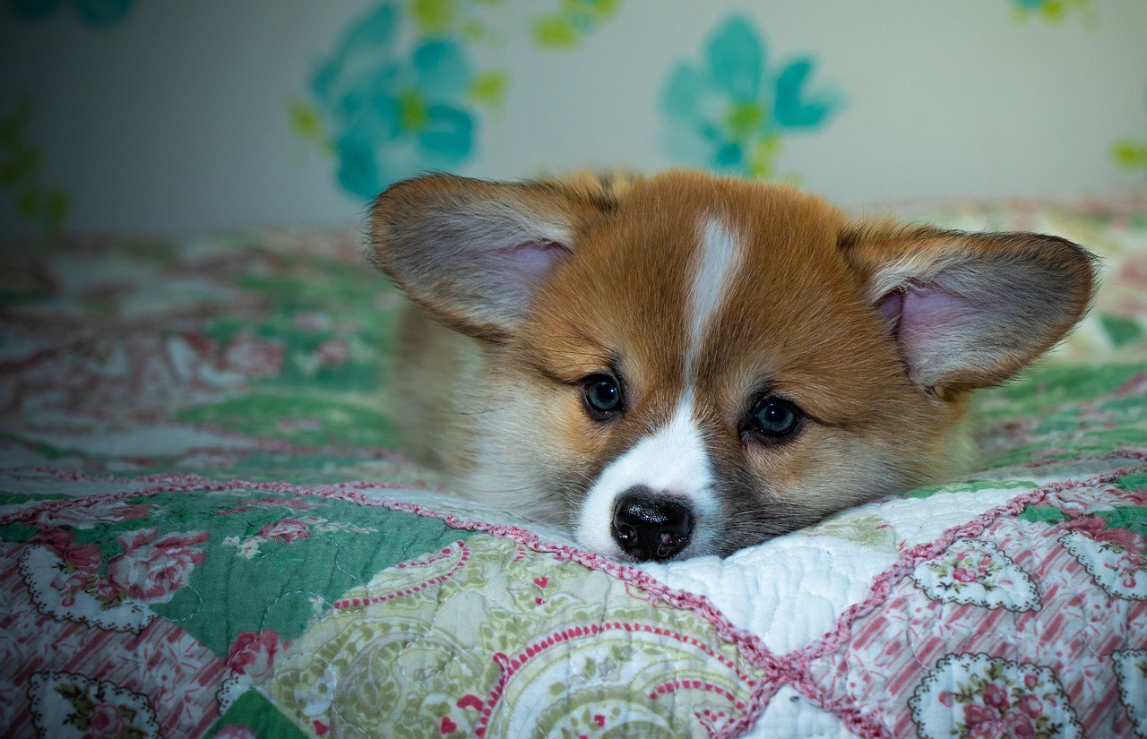 99exch Review: How India’s Emerging Trading Platform Is Shaping the Digital Marketplace